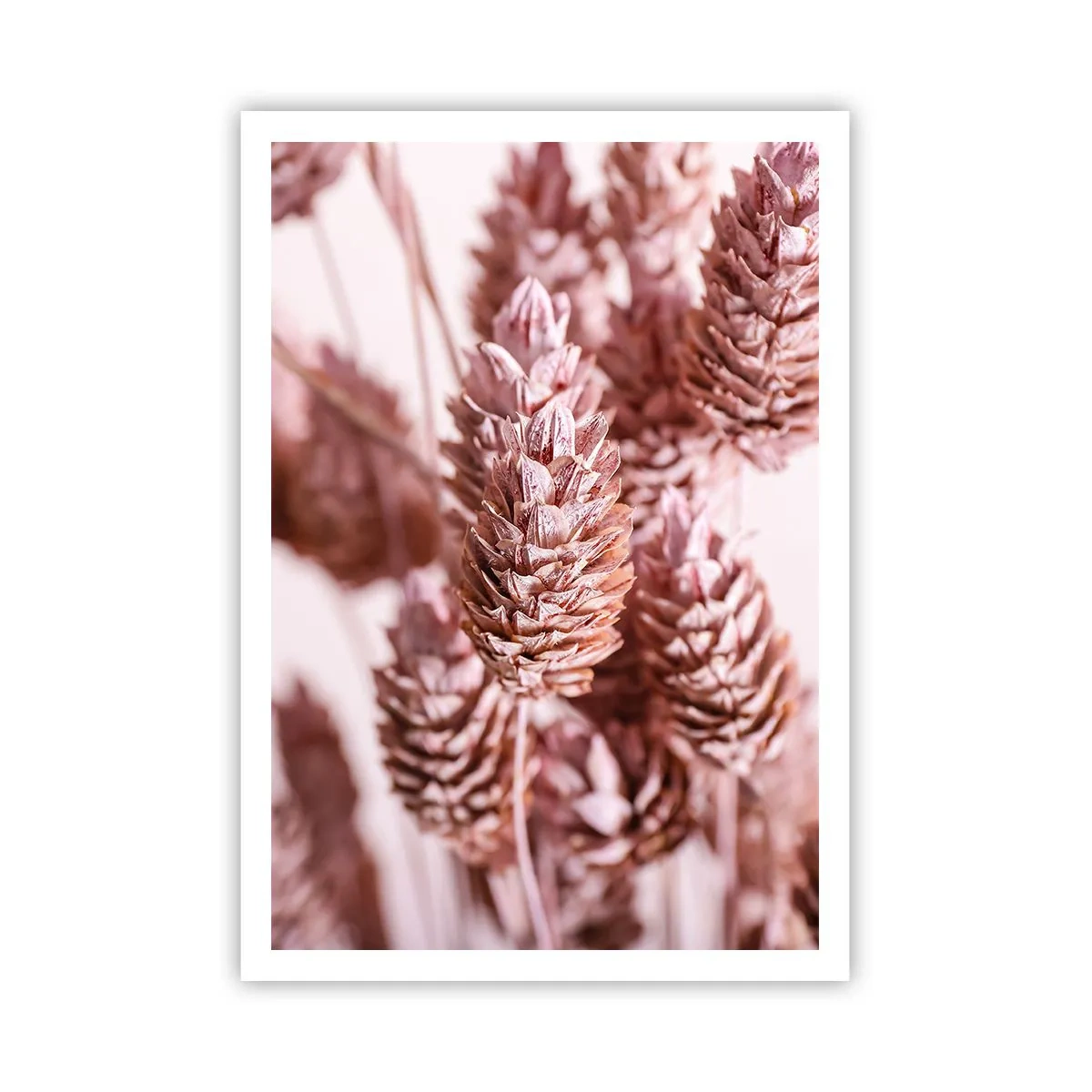 Poster - A prima vista poco appariscenti - 70x100 cm