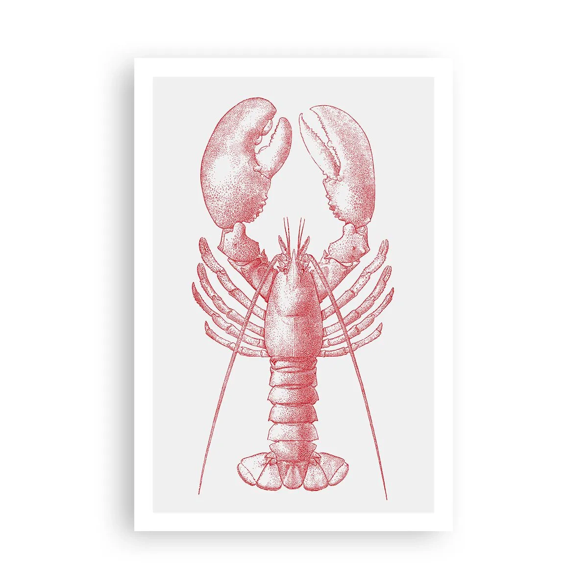 Poster - Aragosta d'agosto - 61x91 cm