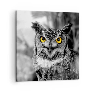 Quadro su tela - Stampe su Tela - Non si può nascondere niente - 50x50 cm