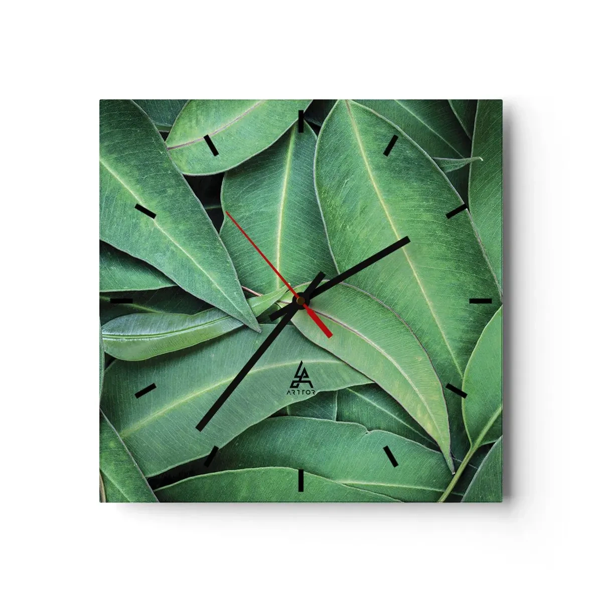Orologio da parete - Orologio in Vetro - Primo piano di foglie verdi che creano un motivo naturale - 30x30cm - Succosi e freschi - Decorazione murale moderna per soggiorno e camera da letto ARTTOR