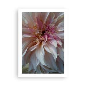 Poster - Primo piano di delicati petali di fiori in colori pastello - 50x70cm - Freschezza in fiore - Decorazione murale moderna per soggiorno e camera da letto ARTTOR