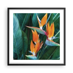 Poster in cornice nera - È un fiore o un uccello? - 50x50 cm