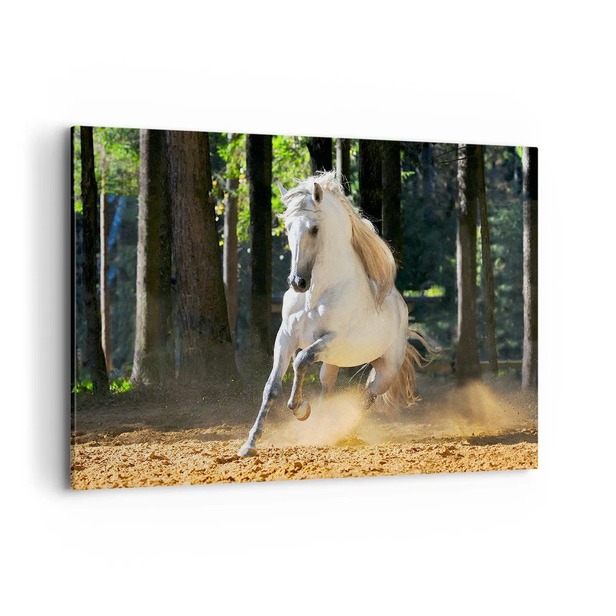 Quadro su tela - Stampe su Tela - Un cavallo bianco che galoppa attraverso una radura nella foresta - 100x70cm - Come nei racconti fantasy - Decorazione murale moderna per soggiorno e camera da letto ARTTOR
