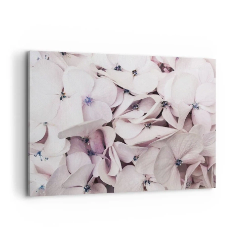 Quadro su tela - Stampe su Tela - Delicate ortensie bianche in tonalità pastello - 100x70cm - Un'alluvione di fiori - Decorazione murale moderna per soggiorno e camera da letto ARTTOR