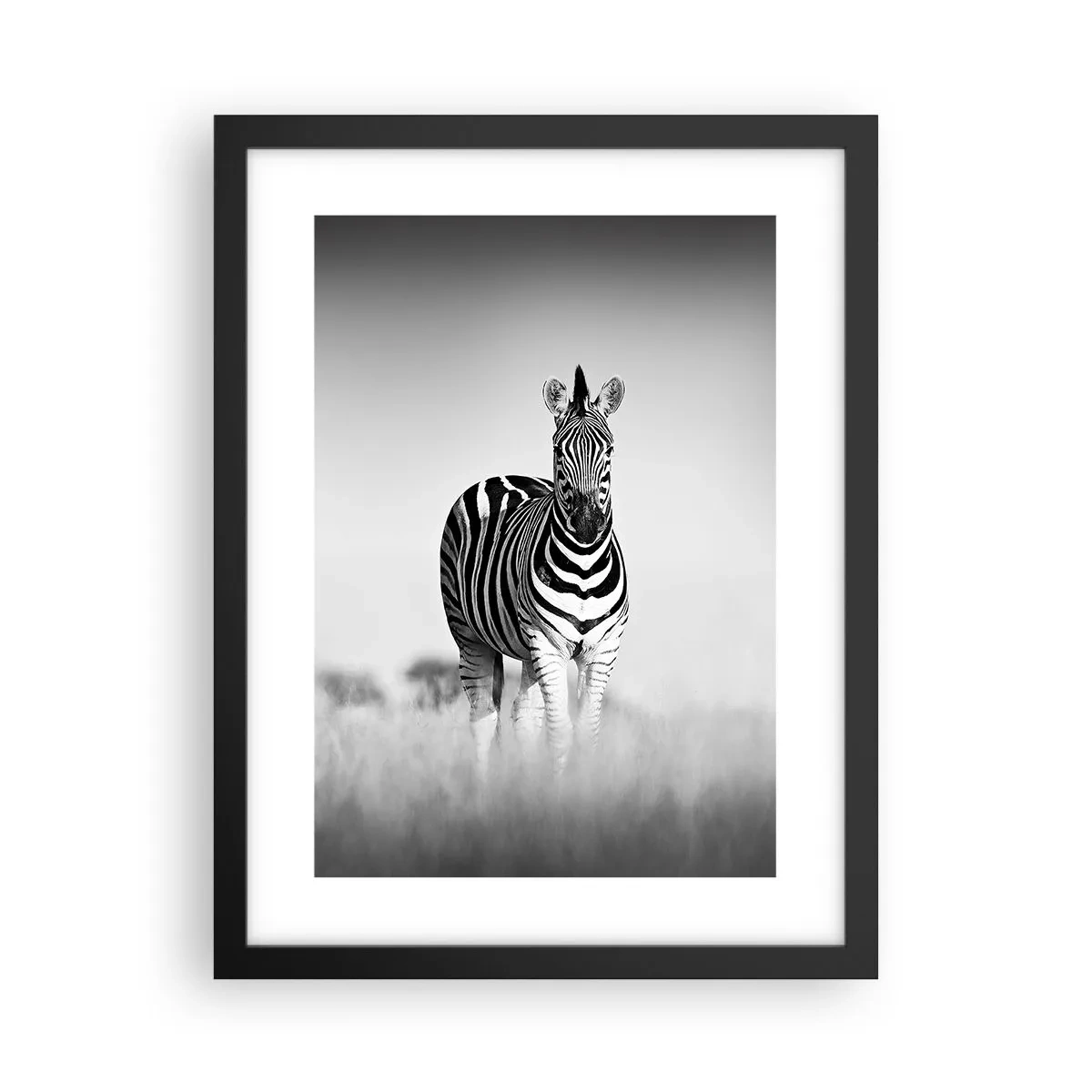 Poster in cornice nera - E tuttavia il mondo è bianco e nero - 30x40 cm