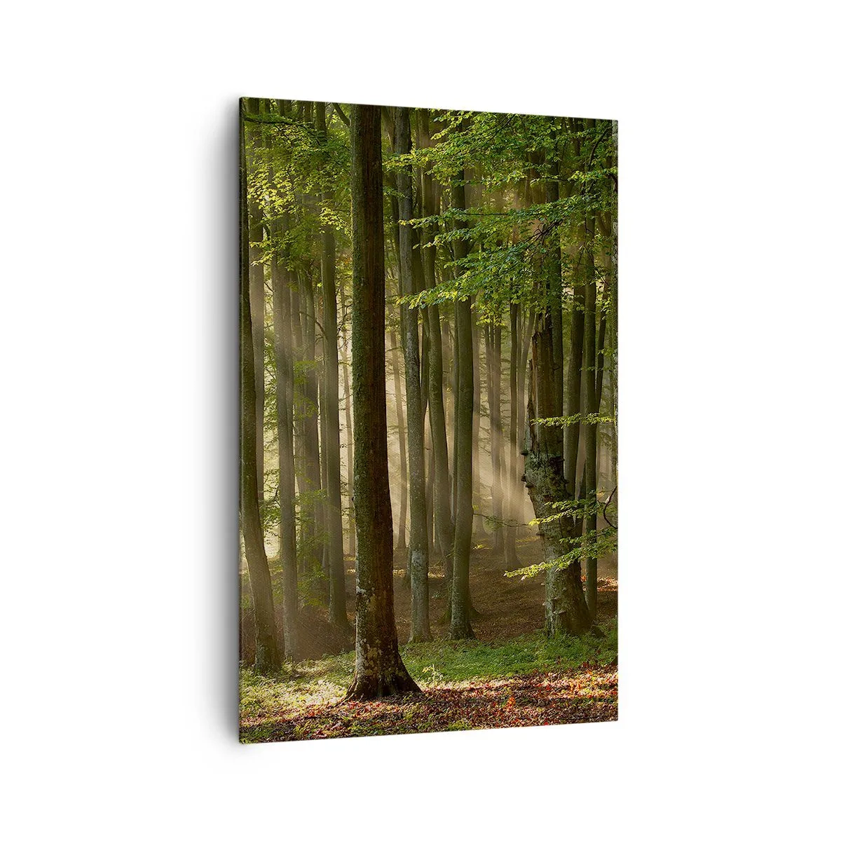 Quadro su tela - Stampe su Tela - Raggi di sole che penetrano attraverso gli alberi nella foresta - 80x120cm - Raggiante in un mattino di primavera - Decorazione murale moderna per soggiorno e camera da letto ARTTOR