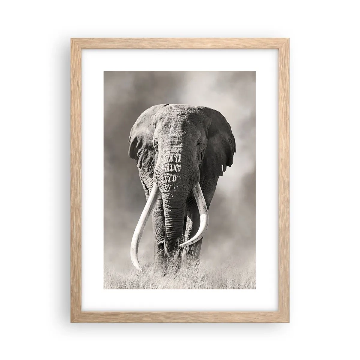 Poster in cornice rovere chiaro - Patriarca africano - 30x40 cm