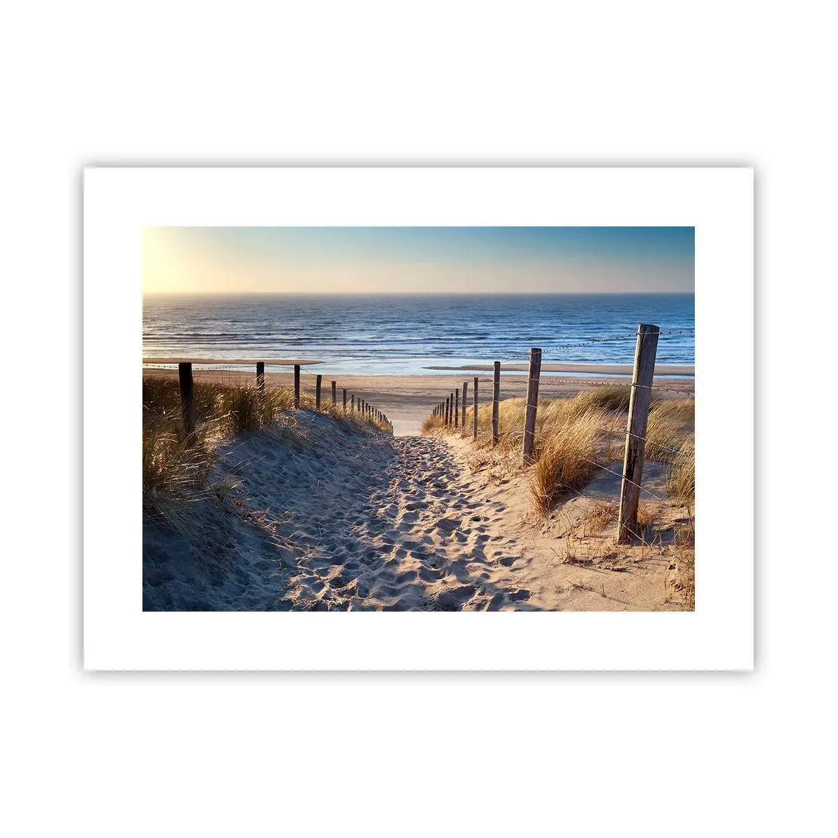 Poster - Rumore del mare, uccelli che cantano, spiaggia selvatica tra i cespugli... - 40x30 cm