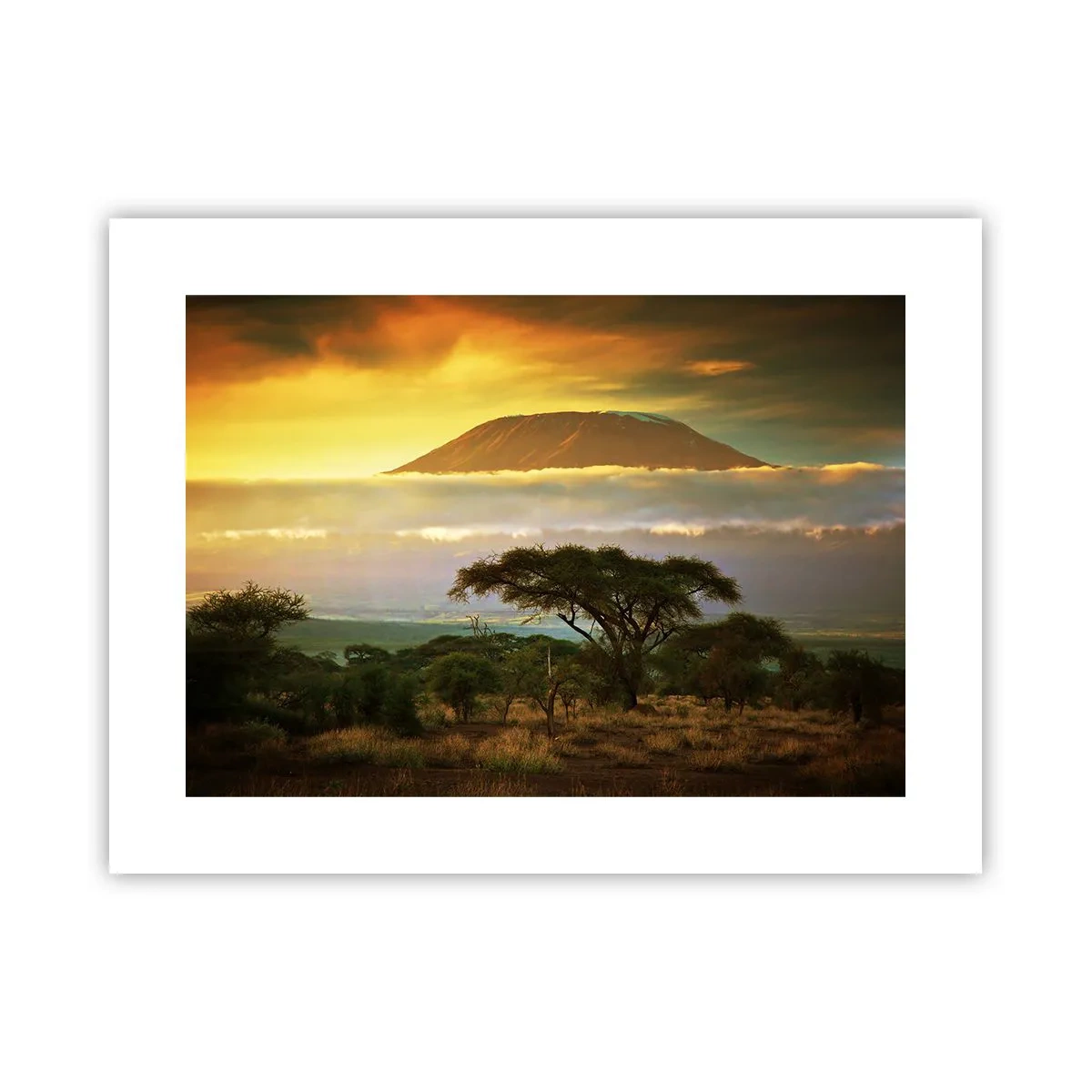 Poster - Il sogno del viaggiatore - 40x30 cm