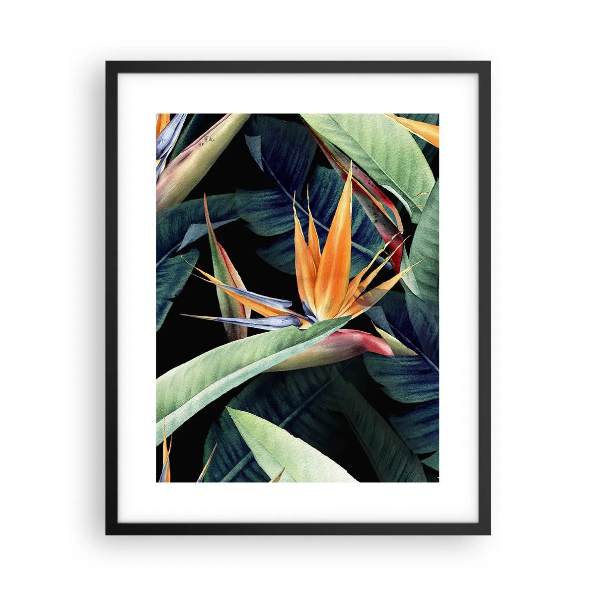 Poster in cornice nera - I fiori fiammeggianti dei tropici - 40x50 cm