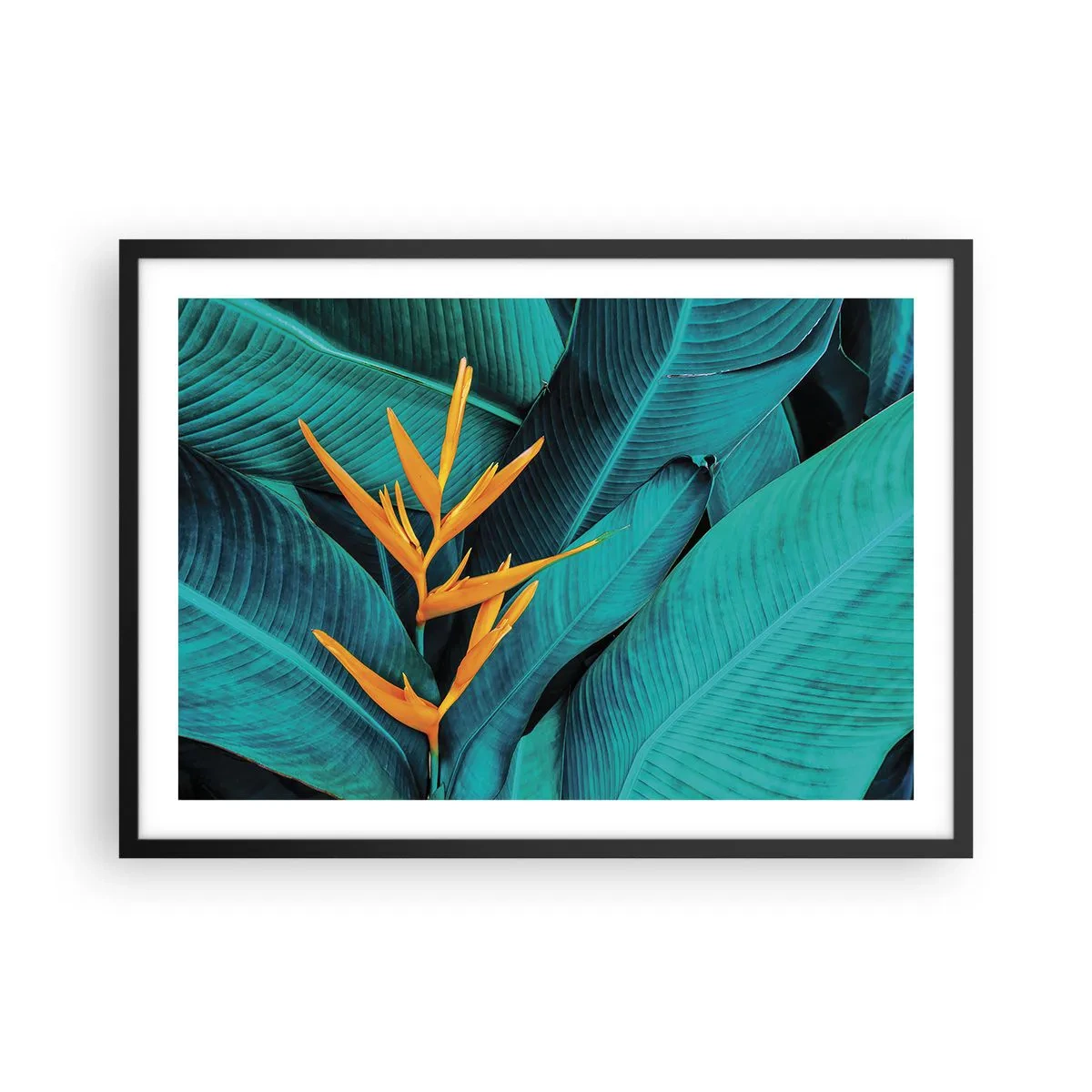 Poster in cornice nera - Un fiore esotico su uno sfondo di foglie di banano in tonalità turchesi. - 70x50cm - Il fiore dell'Eden - Decorazione murale moderna per soggiorno e camera da letto ARTTOR