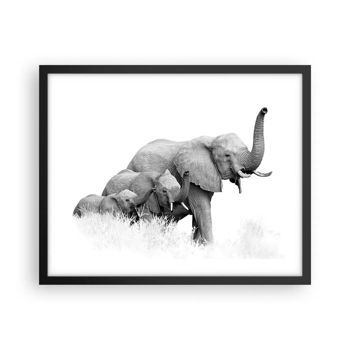 Poster in cornice nera - Uno, due, tre - 50x40 cm