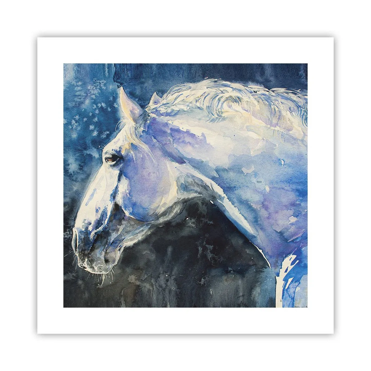 Poster - Ritratto in luce blu - 40x40 cm
