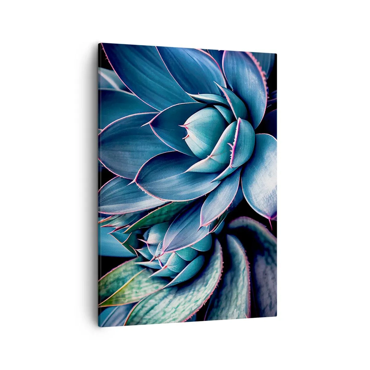 Quadro su tela - Stampe su Tela - Agave nelle tonalità del blu e del verde con accenti rosa - 50x70cm - Forza vitale - Decorazione murale moderna per soggiorno e camera da letto ARTTOR