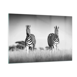 Quadro su vetro - Una coppia di zebre su uno sfondo di erba bianco e nero, ritratte nel loro habitat naturale. - 120x80cm - E tuttavia il mondo è bianco e nero - Decorazione murale moderna per soggiorno e camera da letto ARTTOR