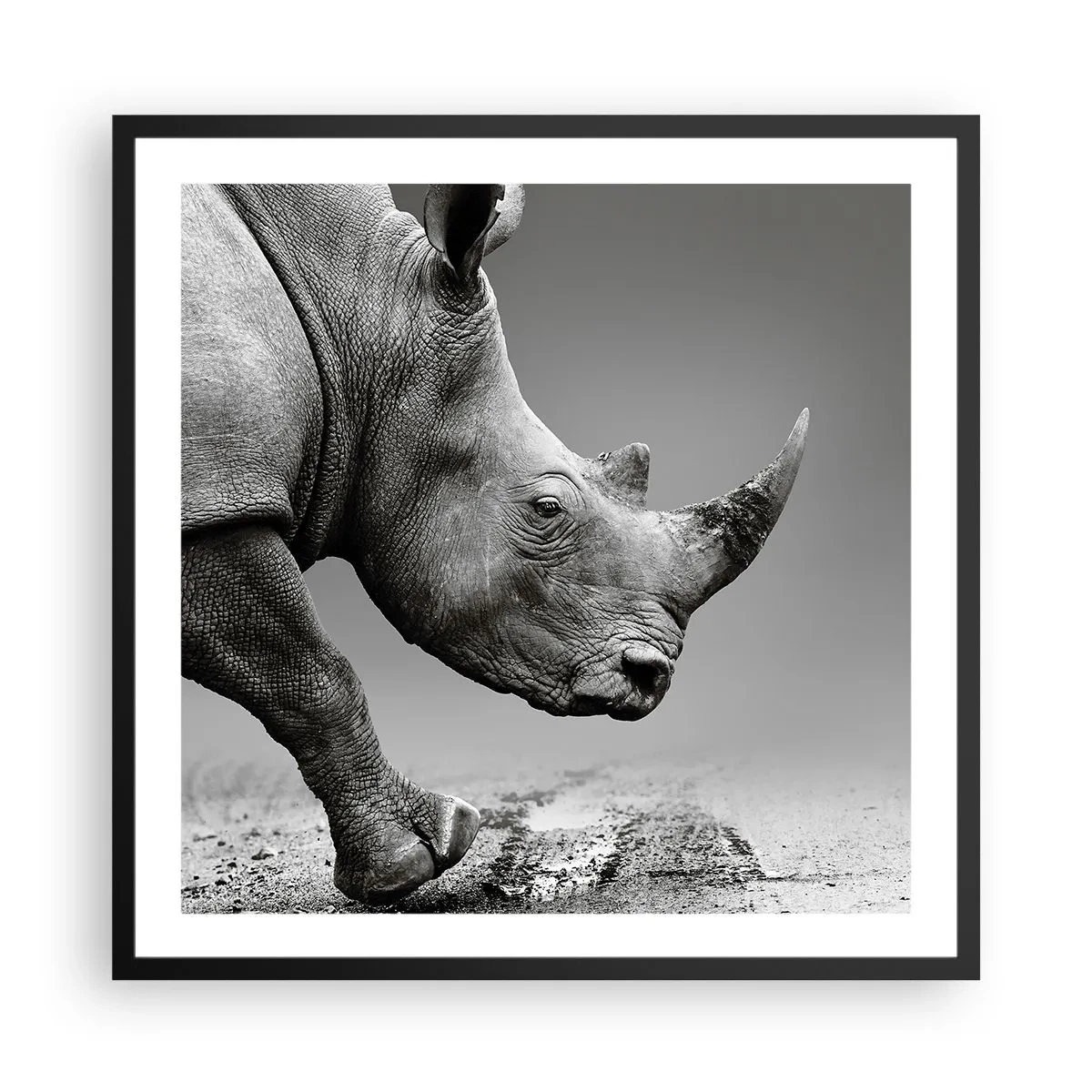 Poster in cornice nera - Forza irrefrenabile - 60x60 cm