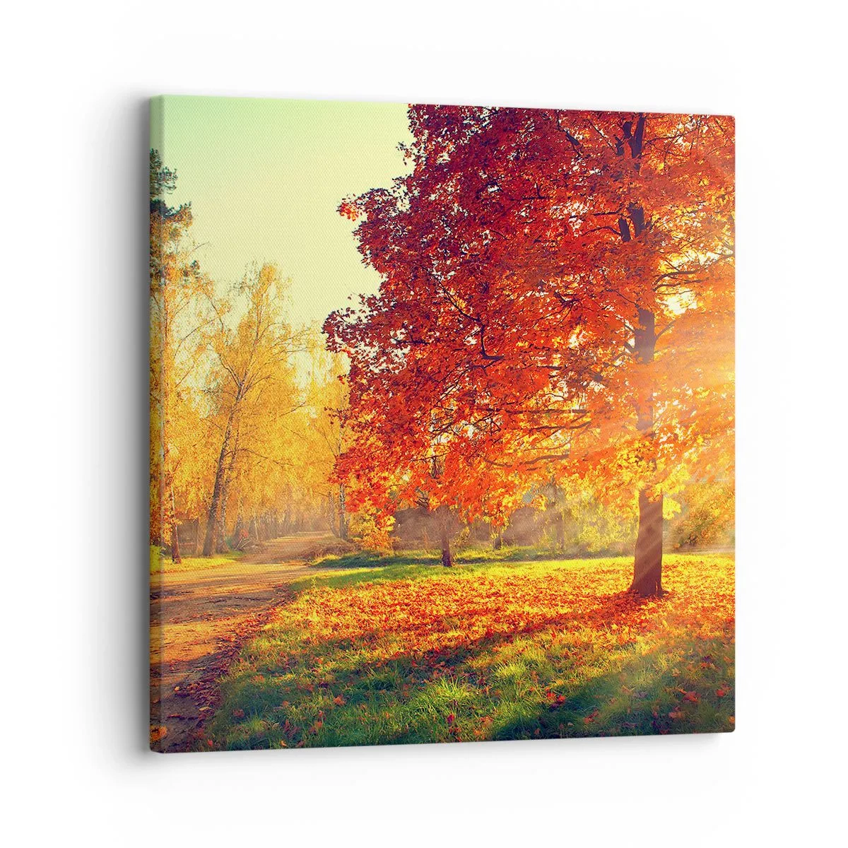 Quadro su tela - Stampe su Tela - Rosso è bello - 30x30 cm
