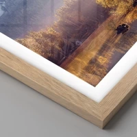 Rovere chiaro