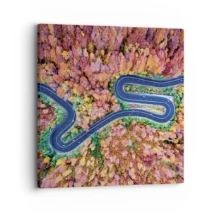 Quadro su tela - Stampe su Tela - Via tortuosa attraverso il bosco - 30x30 cm