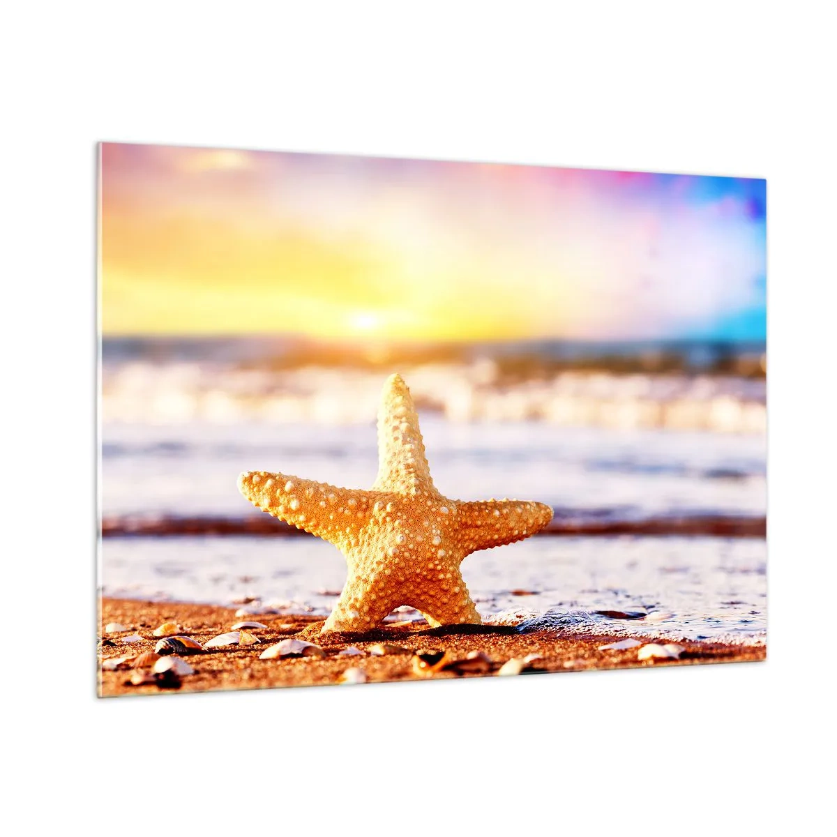 Quadro su vetro - Stelle marine sulla spiaggia alla luce del sole al tramonto - 100x70cm - Regalo del mare - Decorazione murale moderna per soggiorno e camera da letto ARTTOR