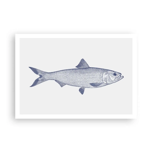 Poster - Illustrazione di un pesce nei toni del blu su uno sfondo chiaro - 100x70cm - Un saluto dai mari del nord - Decorazione murale moderna per soggiorno e camera da letto ARTTOR