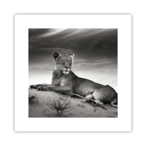 Poster - Il riposo della regina del deserto - 30x30 cm