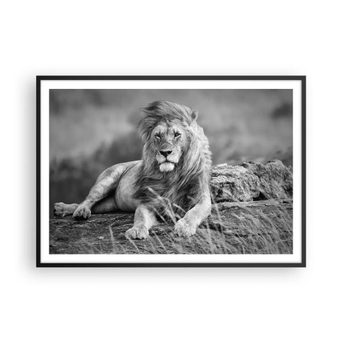 Poster in cornice nera - Leone appoggiato su una roccia in stile monocromatico - 100x70cm - La siesta del re - Decorazione murale moderna per soggiorno e camera da letto ARTTOR