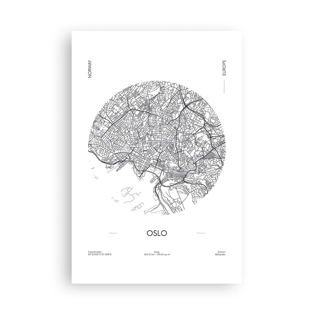 Poster - Anatomia di Oslo - 61x91 cm