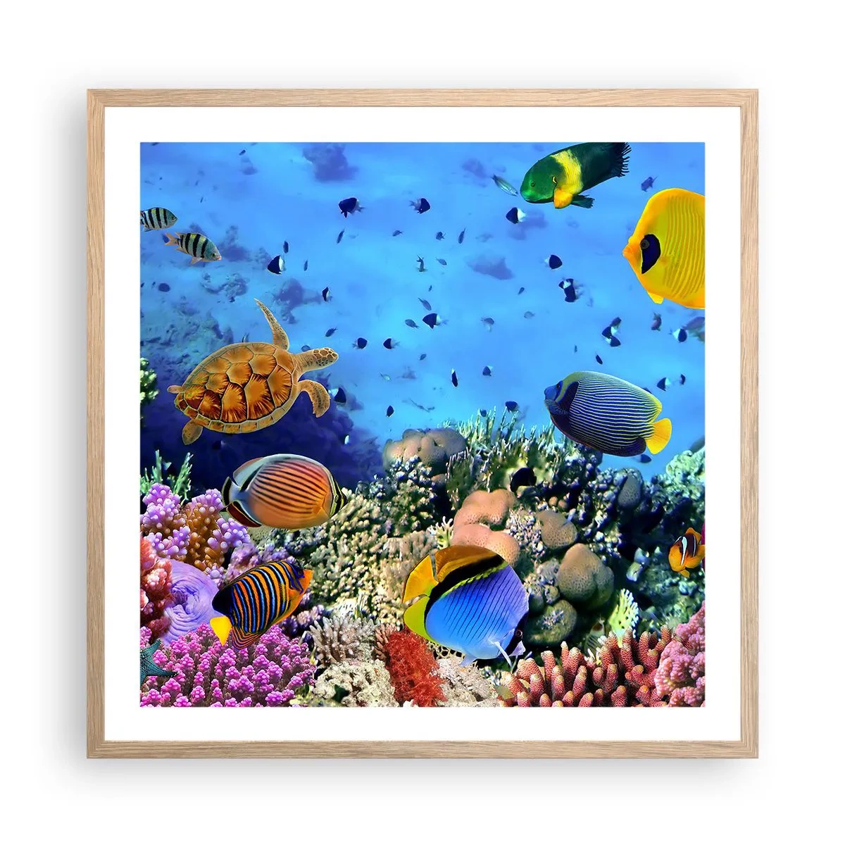 Poster in cornice rovere chiaro - Ma cosa sappiamo della vita... - 60x60 cm