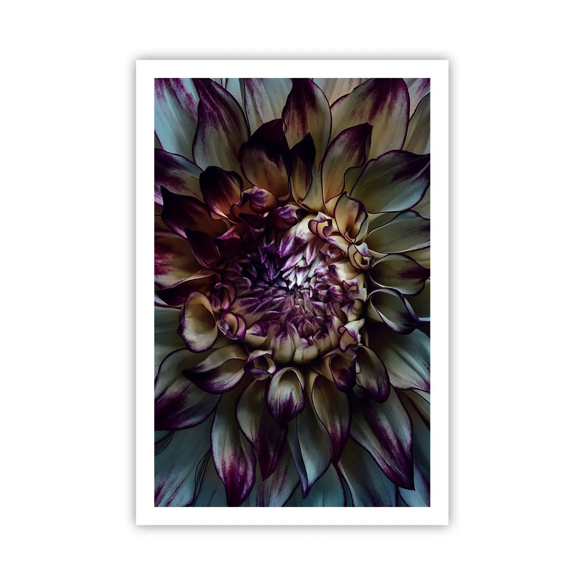 Poster - Il rigoglio della giovinezza - 61x91 cm