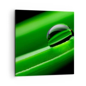 Quadro su tela - Stampe su Tela - La vita da vicino - 50x50 cm