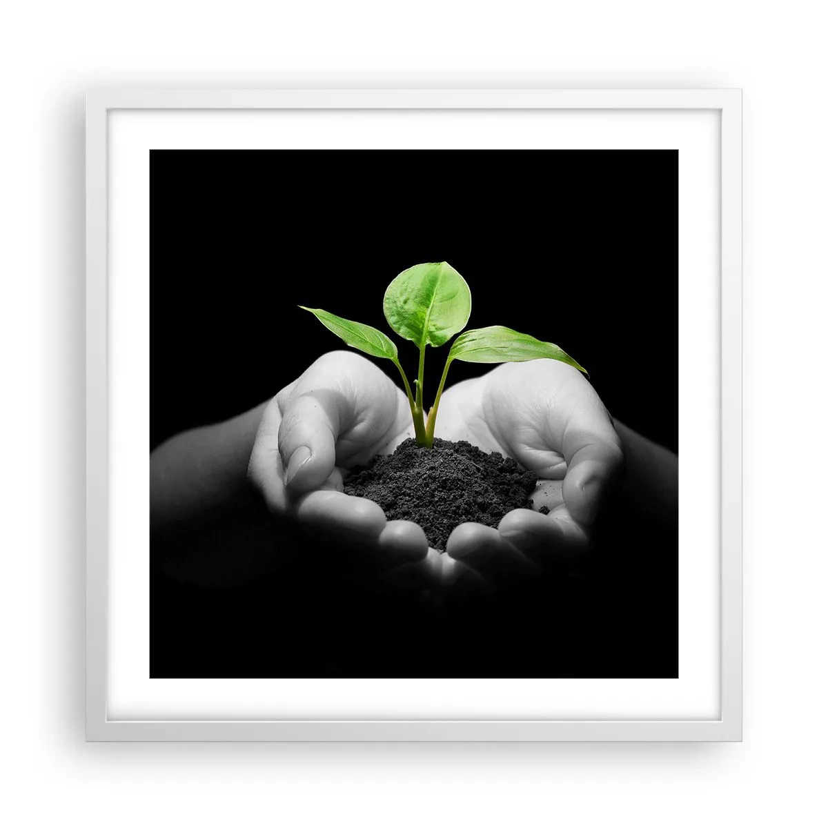 Poster in cornice bianca - Amo la natura, la proteggo - 50x50 cm