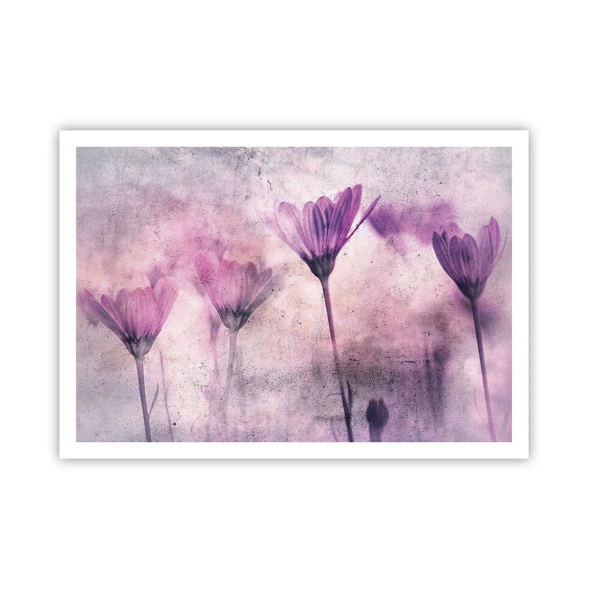 Poster - Delicati fiori nelle tonalità del viola su uno sfondo chiaro - 100x70cm - Il sogno dei fiori - Decorazione murale moderna per soggiorno e camera da letto ARTTOR