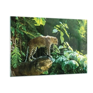 Quadro su vetro - Leopardo su una roccia nella giungla tropicale - 120x80cm - A caccia? - Decorazione murale moderna per soggiorno e camera da letto ARTTOR