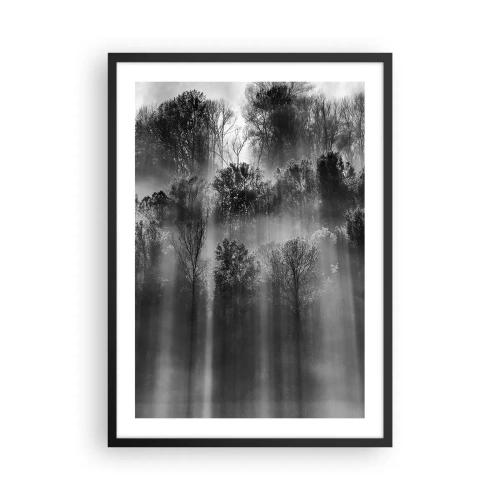 Poster in cornice nera - Foresta in bianco e nero nella nebbia con raggi di sole - 50x70cm - Nei getti di luce - Decorazione murale moderna per soggiorno e camera da letto ARTTOR