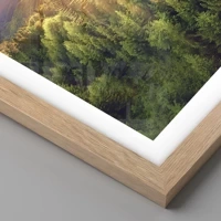 Rovere chiaro