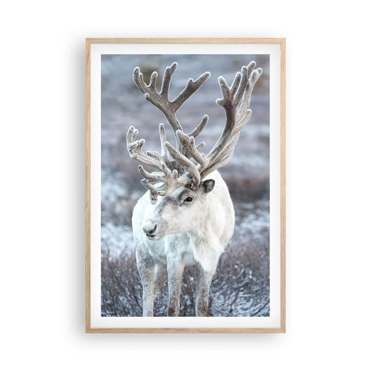 Poster in cornice rovere chiaro - Ritratto al sole - 61x91 cm