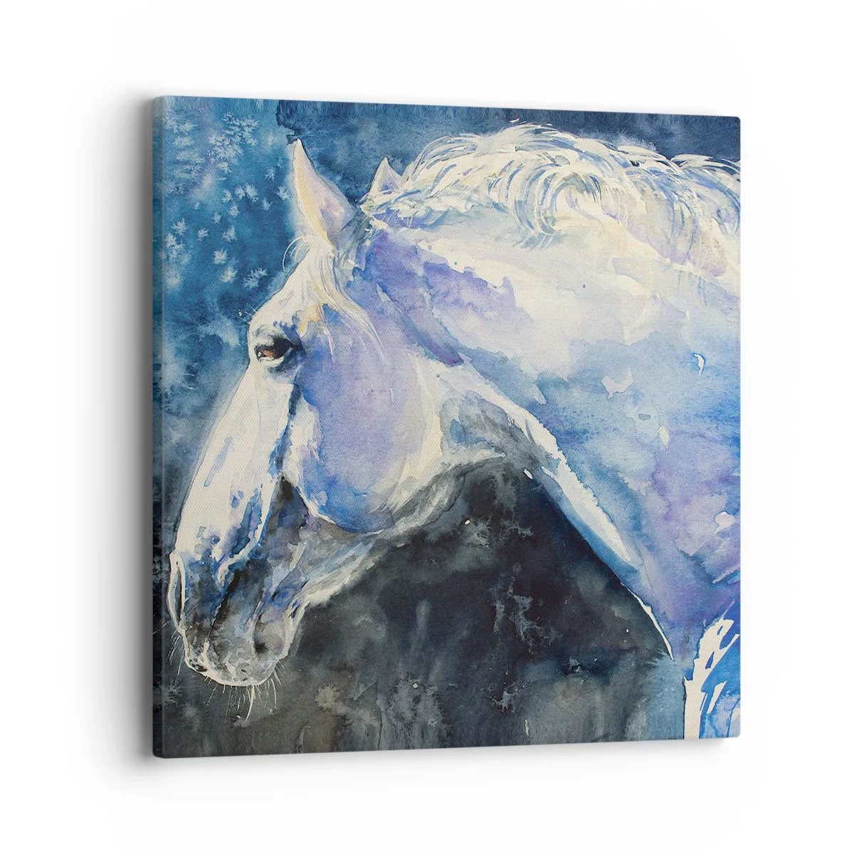 Quadro su tela - Stampe su Tela - Ritratto in luce blu - 40x40 cm