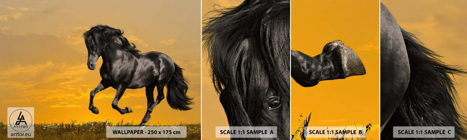 Campione Di Fotomurale Standard Eco - Bello, libero e selvaggio - Animali, Cavallo, Paesaggio - 100x30 cm