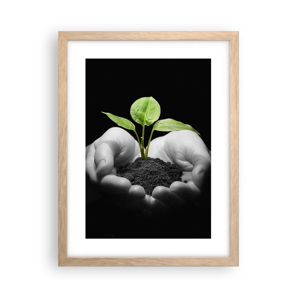 Poster in cornice rovere chiaro - Amo la natura, la proteggo - 30x40 cm