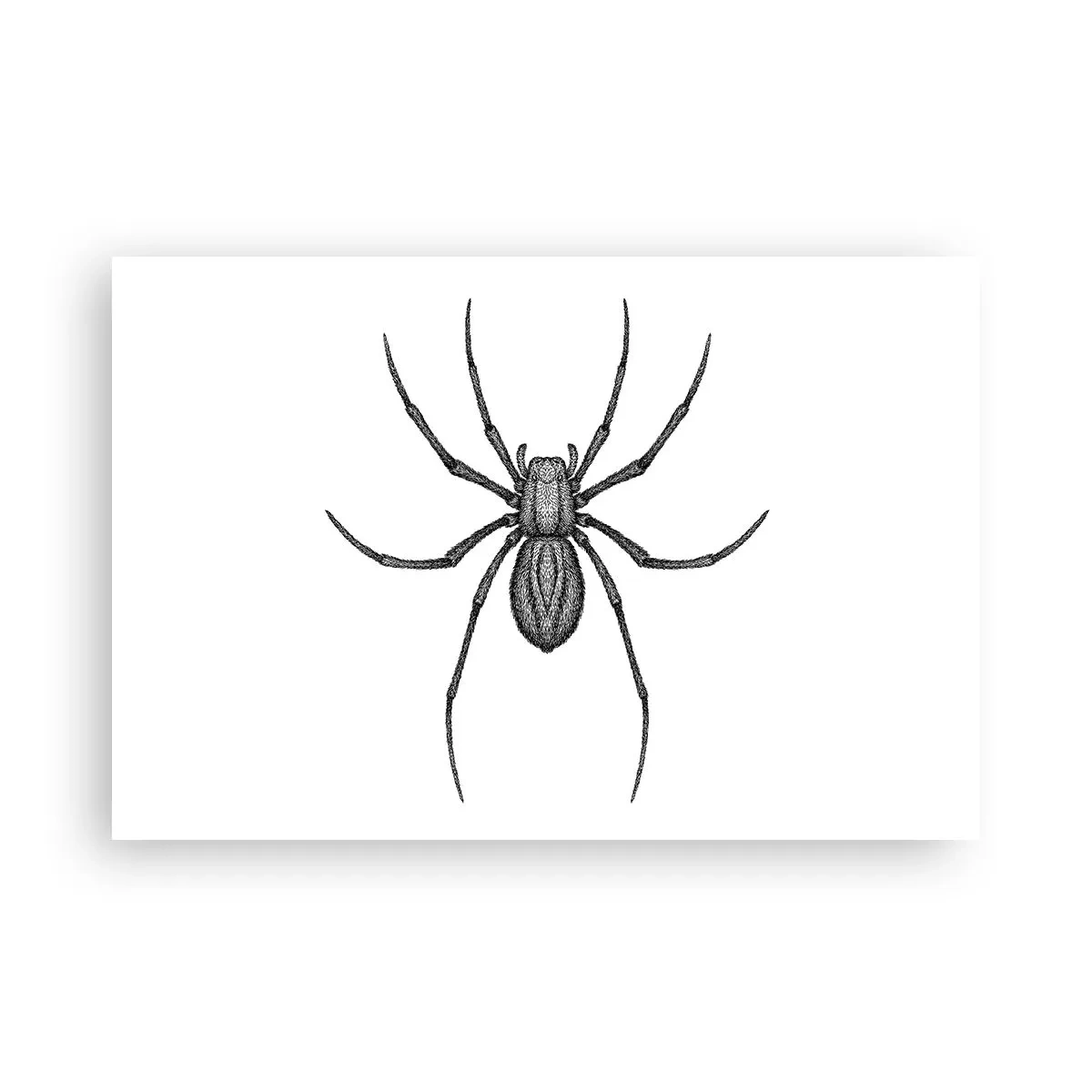 Poster - Precisione inquietante - 91x61 cm