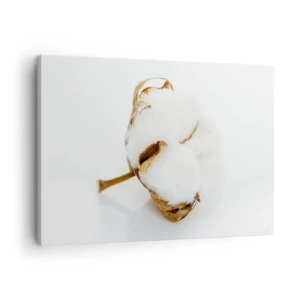 Quadro su tela - Stampe su Tela - Un ramo di cotone su uno sfondo chiaro in un approccio minimalista - 70x50cm - Naturalmente morbido - Decorazione murale moderna per soggiorno e camera da letto ARTTOR