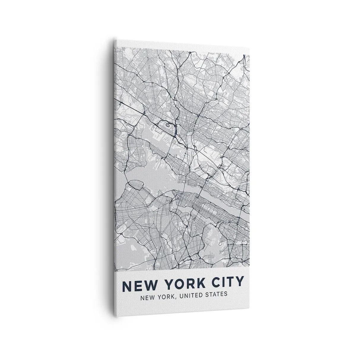 Quadro su tela - Stampe su Tela - Anatomia della metropoli - 55x100 cm