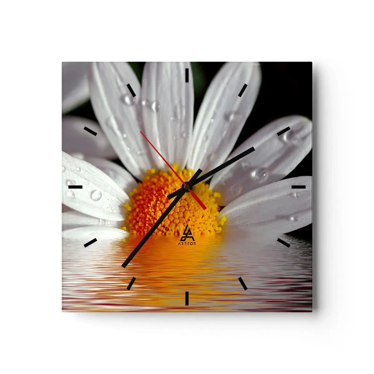Orologio da parete - Orologio in Vetro - Una margherita bianca con gocce d'acqua immerse in un riflesso d'acqua - 30x30cm - L'alba della margherita - Decorazione murale moderna per soggiorno e camera da letto ARTTOR