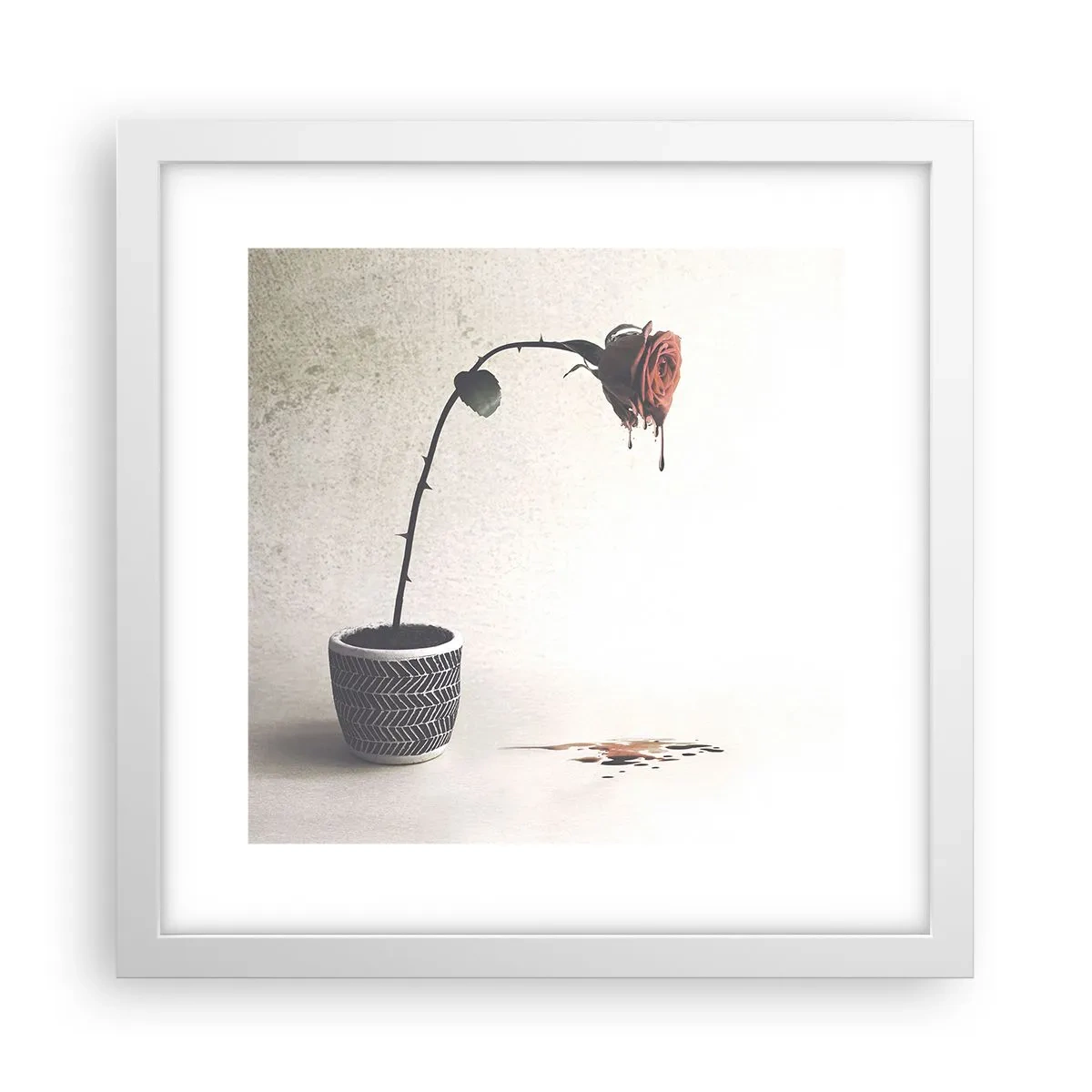 Poster in cornice bianca - Rosa dolorosa - 30x30 cm