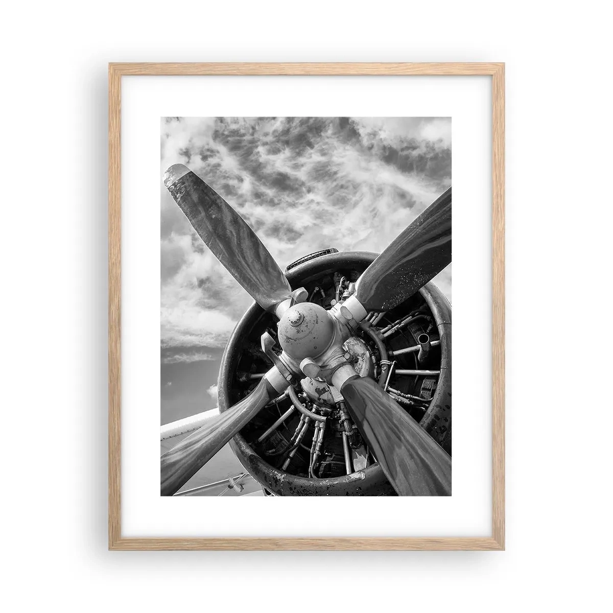 Poster in cornice rovere chiaro - Il dominatore dell'aria - 40x50 cm