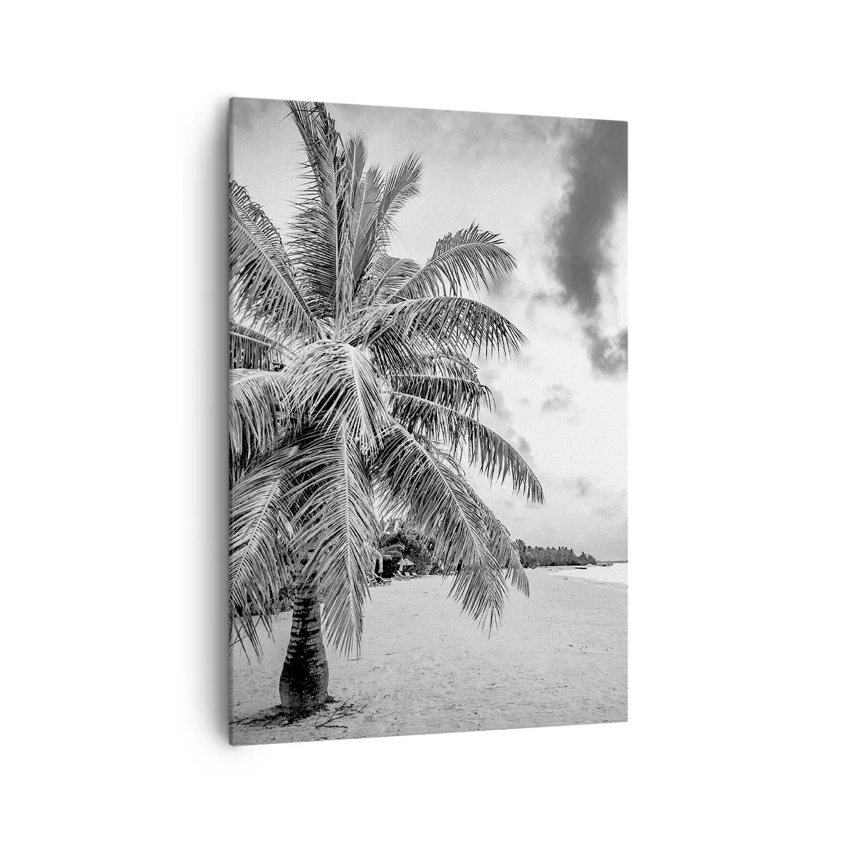 Quadro su tela - Stampe su Tela - Palma bianca e nera su una spiaggia deserta con nuvole - 70x100cm - Quando hai nostalgia della solitudine... - Decorazione murale moderna per soggiorno e camera da letto ARTTOR