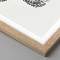 Rovere chiaro