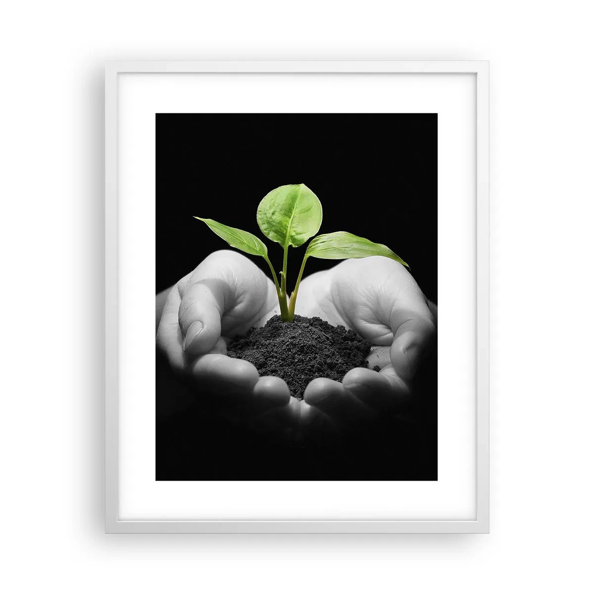 Poster in cornice bianca - Amo la natura, la proteggo - 40x50 cm