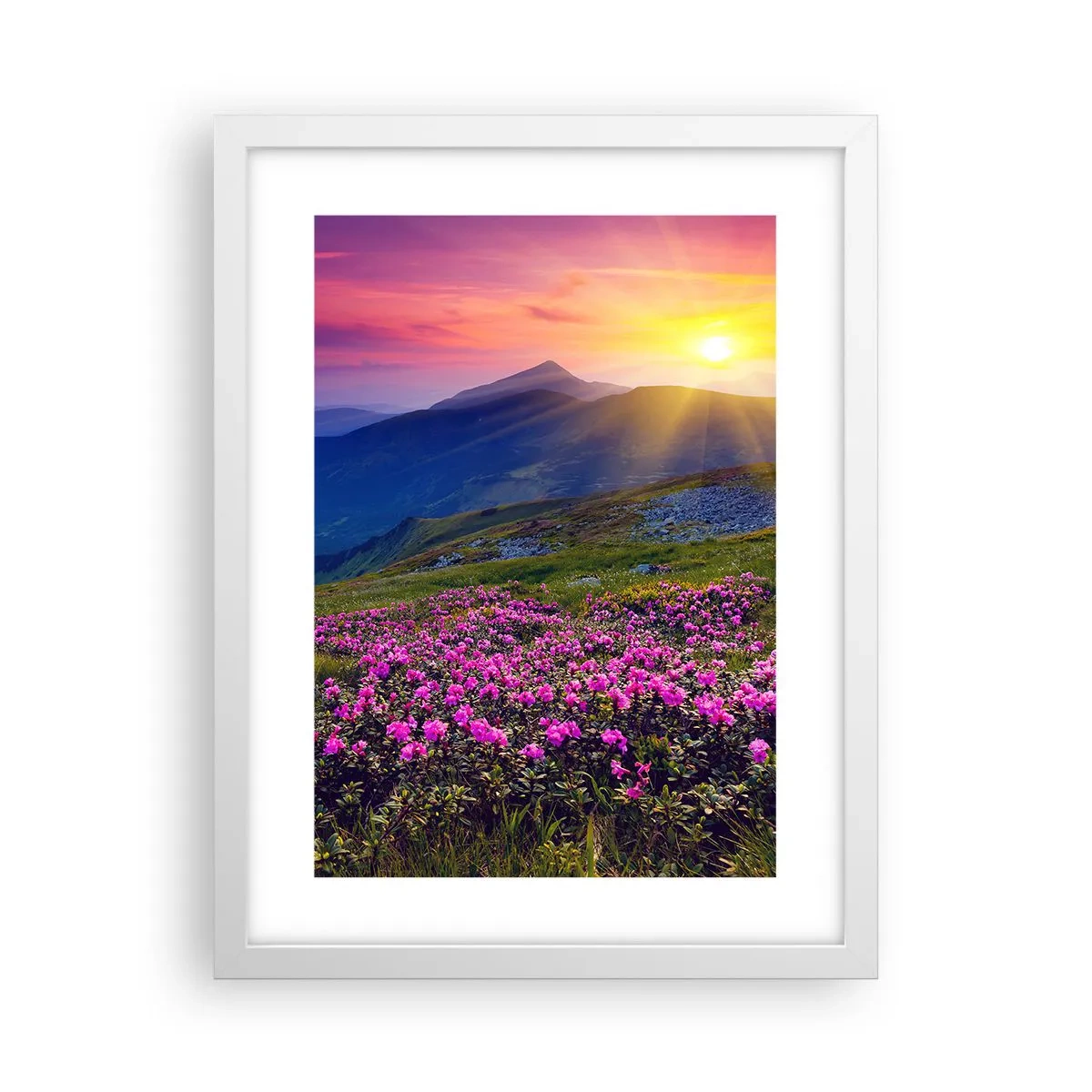 Poster in cornice bianca - Odore di mugo e profumo di erbe - 30x40 cm